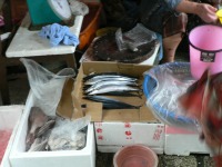 魚屋